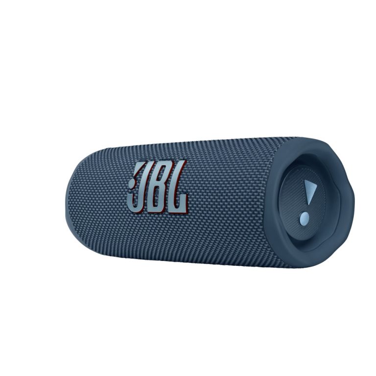 JBL Flip 6 Moder Funart